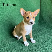 processed/6cd43073-9ed5-422a-882c-cc4f6ade8ac7/listing/8f67edf9-a875-4b2e-bd45-76948080525e/c683f497-387b-4569-b452-e43ee0e7950d