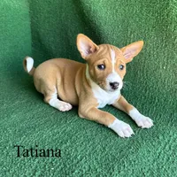 processed/6cd43073-9ed5-422a-882c-cc4f6ade8ac7/listing/8f67edf9-a875-4b2e-bd45-76948080525e/f772ad82-1f18-4446-bf00-7ef6839b35f6