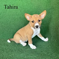 processed/6cd43073-9ed5-422a-882c-cc4f6ade8ac7/listing/a632826b-7b43-490a-b5b1-ee621e100984/097ae2e9-3cac-4c89-80da-85e129ec59e6