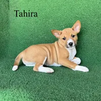 processed/6cd43073-9ed5-422a-882c-cc4f6ade8ac7/listing/a632826b-7b43-490a-b5b1-ee621e100984/336c1066-9930-453d-8740-bef594baf10f