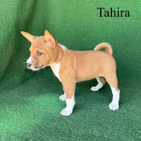 processed/6cd43073-9ed5-422a-882c-cc4f6ade8ac7/listing/a632826b-7b43-490a-b5b1-ee621e100984/35f8dee7-9a51-41a6-a3b9-40c580823332