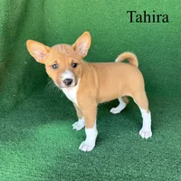 processed/6cd43073-9ed5-422a-882c-cc4f6ade8ac7/listing/a632826b-7b43-490a-b5b1-ee621e100984/4d37efa7-e254-4d3c-bfe9-512f6bea2efe