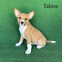 processed/6cd43073-9ed5-422a-882c-cc4f6ade8ac7/listing/a632826b-7b43-490a-b5b1-ee621e100984/66fd113f-31fd-47ed-9424-842f5bfa68d4