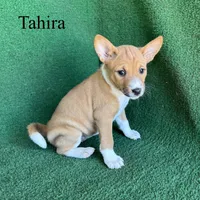 processed/6cd43073-9ed5-422a-882c-cc4f6ade8ac7/listing/a632826b-7b43-490a-b5b1-ee621e100984/cea6e3d7-23a3-417b-b921-962f62b606ca