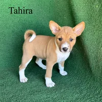 processed/6cd43073-9ed5-422a-882c-cc4f6ade8ac7/listing/a632826b-7b43-490a-b5b1-ee621e100984/ed35e1de-db0e-435c-ab36-202d57398158