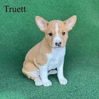 processed/6cd43073-9ed5-422a-882c-cc4f6ade8ac7/listing/e8341115-8ac1-4aa4-87c4-219d8d3568f6/5f68cdfd-dacf-4820-a99d-ca4c089f5249