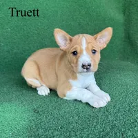 processed/6cd43073-9ed5-422a-882c-cc4f6ade8ac7/listing/e8341115-8ac1-4aa4-87c4-219d8d3568f6/9c08d83d-4f1e-4817-b6f5-ec4702d8922f