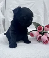 processed/6cd8a137-a8ae-4574-a6d7-933cefbf2198/listing/7c6485e2-6068-4240-a2d6-84203fb74005/1703edd3-e661-44eb-983b-6b16524752c5