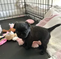 processed/6cd8a137-a8ae-4574-a6d7-933cefbf2198/listing/7c6485e2-6068-4240-a2d6-84203fb74005/43d89f09-22e0-43ac-9fbc-158dc8670c0d