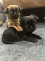 processed/6cd8a137-a8ae-4574-a6d7-933cefbf2198/listing/7c6485e2-6068-4240-a2d6-84203fb74005/875559af-c16e-491a-8258-62edacc044cb