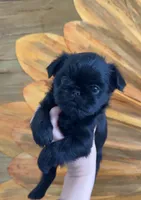 processed/6cd8a137-a8ae-4574-a6d7-933cefbf2198/listing/7c6485e2-6068-4240-a2d6-84203fb74005/8bf1b9c2-8b45-4728-9806-10f7852f30d5