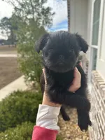 processed/6cd8a137-a8ae-4574-a6d7-933cefbf2198/listing/7c6485e2-6068-4240-a2d6-84203fb74005/b11511dc-1d30-4d71-96e8-df563900e9ba