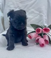 processed/6cd8a137-a8ae-4574-a6d7-933cefbf2198/listing/7c6485e2-6068-4240-a2d6-84203fb74005/c98f074b-b82b-4db9-8bc8-9340f356f249