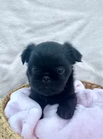 processed/6cd8a137-a8ae-4574-a6d7-933cefbf2198/listing/7c6485e2-6068-4240-a2d6-84203fb74005/cb0a5f08-426b-4c88-88fb-3ff3c690a031