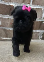 processed/6cd8a137-a8ae-4574-a6d7-933cefbf2198/listing/7c6485e2-6068-4240-a2d6-84203fb74005/e09e6322-f217-401f-a2a1-1b5288ff47da