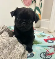 processed/6cd8a137-a8ae-4574-a6d7-933cefbf2198/listing/85beafd6-ac47-4f69-823c-3e7f504515b2/1a06126d-ff4f-409b-8634-48c1baa46e98