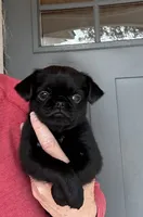 processed/6cd8a137-a8ae-4574-a6d7-933cefbf2198/listing/85beafd6-ac47-4f69-823c-3e7f504515b2/2cd421b6-e421-486a-b9d8-e9141a418639