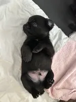 processed/6cd8a137-a8ae-4574-a6d7-933cefbf2198/listing/85beafd6-ac47-4f69-823c-3e7f504515b2/49185e19-4493-4cbe-8701-fd9eb3a0474d