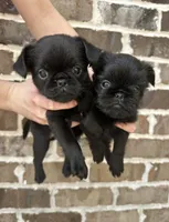 processed/6cd8a137-a8ae-4574-a6d7-933cefbf2198/listing/85beafd6-ac47-4f69-823c-3e7f504515b2/501bd901-9116-40f4-b78f-656478923b7b