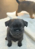 processed/6cd8a137-a8ae-4574-a6d7-933cefbf2198/listing/85beafd6-ac47-4f69-823c-3e7f504515b2/60a818c8-e1f1-4735-b849-d3757cdcbd6b