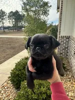 processed/6cd8a137-a8ae-4574-a6d7-933cefbf2198/listing/85beafd6-ac47-4f69-823c-3e7f504515b2/67b05c3a-1436-4da3-a9d3-ea0bae10e652