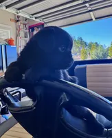 processed/6cd8a137-a8ae-4574-a6d7-933cefbf2198/listing/85beafd6-ac47-4f69-823c-3e7f504515b2/ac41976a-3cf5-4fe6-b0dd-959d7debda3d