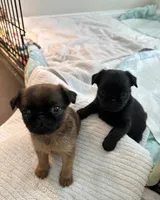 processed/6cd8a137-a8ae-4574-a6d7-933cefbf2198/listing/85beafd6-ac47-4f69-823c-3e7f504515b2/bab56ee0-2e82-4e9e-81e7-bd159734ec7f