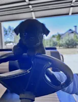 processed/6cd8a137-a8ae-4574-a6d7-933cefbf2198/listing/85beafd6-ac47-4f69-823c-3e7f504515b2/c429e47f-b6bb-465b-9846-4bb8f4221d88