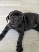 processed/6ceed600-ee11-4ebb-93e0-08970219a7d3/listing/8eb17429-cdf0-47ec-b7fd-5727191d36c0/209e5bb6-fe4a-4f95-a3e6-6bc9880f610d