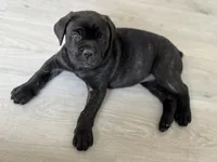 processed/6ceed600-ee11-4ebb-93e0-08970219a7d3/listing/8eb17429-cdf0-47ec-b7fd-5727191d36c0/675e34e6-061c-4b33-89dd-819751694f0b