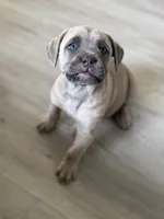 processed/6ceed600-ee11-4ebb-93e0-08970219a7d3/listing/c8109dd8-11e8-4367-8aaf-c16b237e4914/38610c3a-f2be-4092-b117-dfebbcb40705