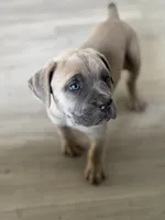 processed/6ceed600-ee11-4ebb-93e0-08970219a7d3/listing/c8109dd8-11e8-4367-8aaf-c16b237e4914/ae18707b-45f2-433e-b437-1ebbb95973df