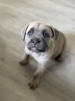 processed/6ceed600-ee11-4ebb-93e0-08970219a7d3/listing/c8109dd8-11e8-4367-8aaf-c16b237e4914/bb3a5870-3c2b-451c-82fe-c1a7906c7018