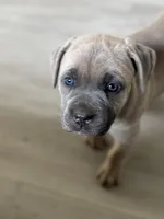 processed/6ceed600-ee11-4ebb-93e0-08970219a7d3/listing/c8109dd8-11e8-4367-8aaf-c16b237e4914/d959f59a-369b-47cd-b9a3-0cb5e21204ee