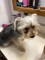 processed/6cf320eb-42ac-4bb2-9dad-45cb4f8282cb/listing/05b0a73f-3482-426c-b6a8-1209f9ac810a/26a01db2-ca8b-4b9e-9ba5-3c81789cc964