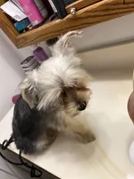 processed/6cf320eb-42ac-4bb2-9dad-45cb4f8282cb/listing/05b0a73f-3482-426c-b6a8-1209f9ac810a/3cc76a90-8471-4ad5-af6e-66cd55c01db8