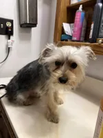 processed/6cf320eb-42ac-4bb2-9dad-45cb4f8282cb/listing/05b0a73f-3482-426c-b6a8-1209f9ac810a/ef625246-da7e-44ca-a944-e0b78ff2d913