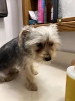 processed/6cf320eb-42ac-4bb2-9dad-45cb4f8282cb/listing/05b0a73f-3482-426c-b6a8-1209f9ac810a/fe2f6713-7ac5-43f7-86aa-abfbdde0a85d