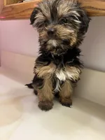 processed/6cf320eb-42ac-4bb2-9dad-45cb4f8282cb/listing/cd281c7f-8956-4cd7-aab8-3e81ee8c4ef1/215ea116-b58a-4e3a-9d43-1ddd0d347e51