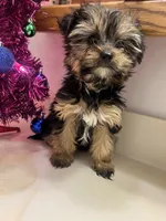 processed/6cf320eb-42ac-4bb2-9dad-45cb4f8282cb/listing/cd281c7f-8956-4cd7-aab8-3e81ee8c4ef1/65325a55-05b9-41d6-ab51-2b109e00e1d2