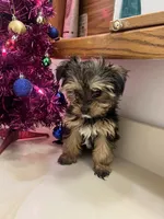 processed/6cf320eb-42ac-4bb2-9dad-45cb4f8282cb/listing/cd281c7f-8956-4cd7-aab8-3e81ee8c4ef1/81ed3b69-805e-49bf-bed0-1ebf6588ccf8