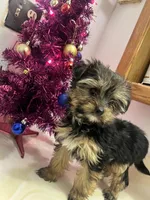 processed/6cf320eb-42ac-4bb2-9dad-45cb4f8282cb/listing/cd281c7f-8956-4cd7-aab8-3e81ee8c4ef1/c88625f9-fc59-436a-85d5-94e3884c4fd7