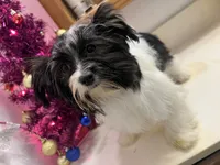 processed/6cf320eb-42ac-4bb2-9dad-45cb4f8282cb/listing/d128272b-d3cd-4243-b685-c6833185a48e/2d17f1fb-330a-4384-97d6-5b268c0dd34c