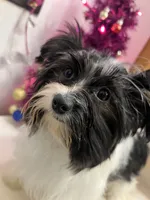 processed/6cf320eb-42ac-4bb2-9dad-45cb4f8282cb/listing/d128272b-d3cd-4243-b685-c6833185a48e/57c56a39-f984-4ae7-8892-6684c3630256