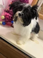 processed/6cf320eb-42ac-4bb2-9dad-45cb4f8282cb/listing/d128272b-d3cd-4243-b685-c6833185a48e/9bcfdc0a-3766-4e60-b341-0dcda526f88a