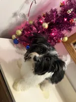 processed/6cf320eb-42ac-4bb2-9dad-45cb4f8282cb/listing/d128272b-d3cd-4243-b685-c6833185a48e/ea3fa95d-9587-4608-b796-237bf3669b01