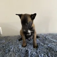 processed/6d03553d-2e80-4164-bc23-38069ee156b9/facility/13ddd95e-96be-4a55-9f17-0b85c36fb3da