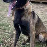 processed/6d03553d-2e80-4164-bc23-38069ee156b9/facility/5892f0c5-d1b9-43e5-a793-56f4f4cce421