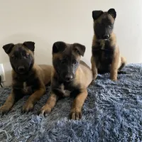 processed/6d03553d-2e80-4164-bc23-38069ee156b9/facility/88a7f22a-2bd0-414e-a9b1-0616759d57ed