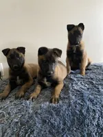 processed/6d03553d-2e80-4164-bc23-38069ee156b9/facility/88a7f22a-2bd0-414e-a9b1-0616759d57ed